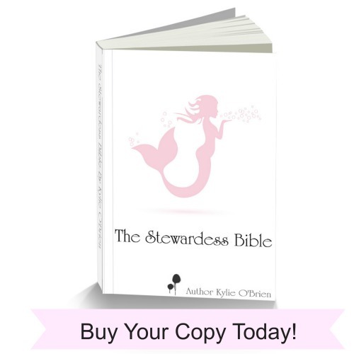 The Stewardess Bible On Sale Now