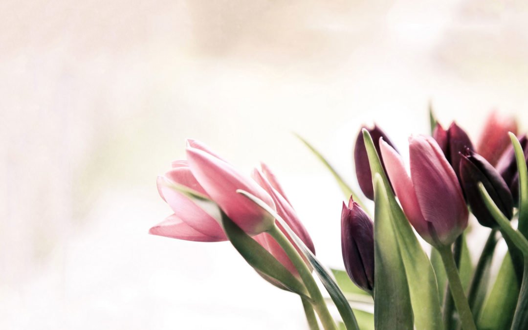 An Interview with Chief Stewardess Joyce Joens