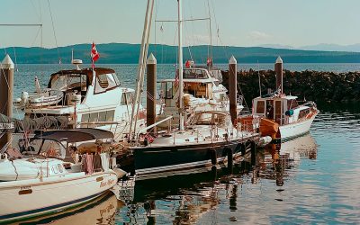 The Art of Service Recovery: What Yacht Guests Actually Want When Things Go Wrong